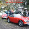 bild51